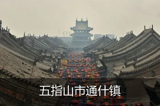 五指山市通什镇